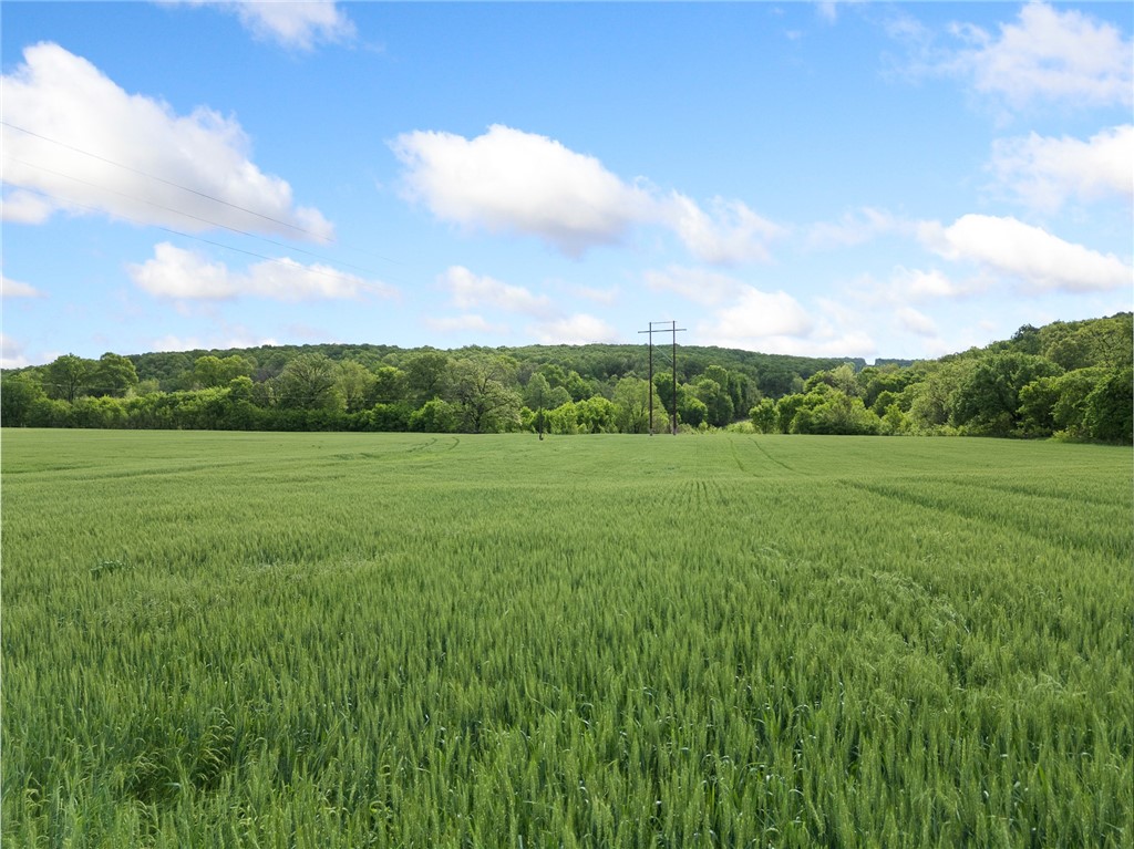 Long Creek Estates Ii - Land