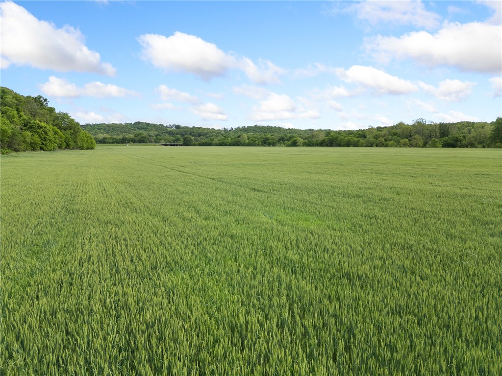 Long Creek Estates Ii - Land