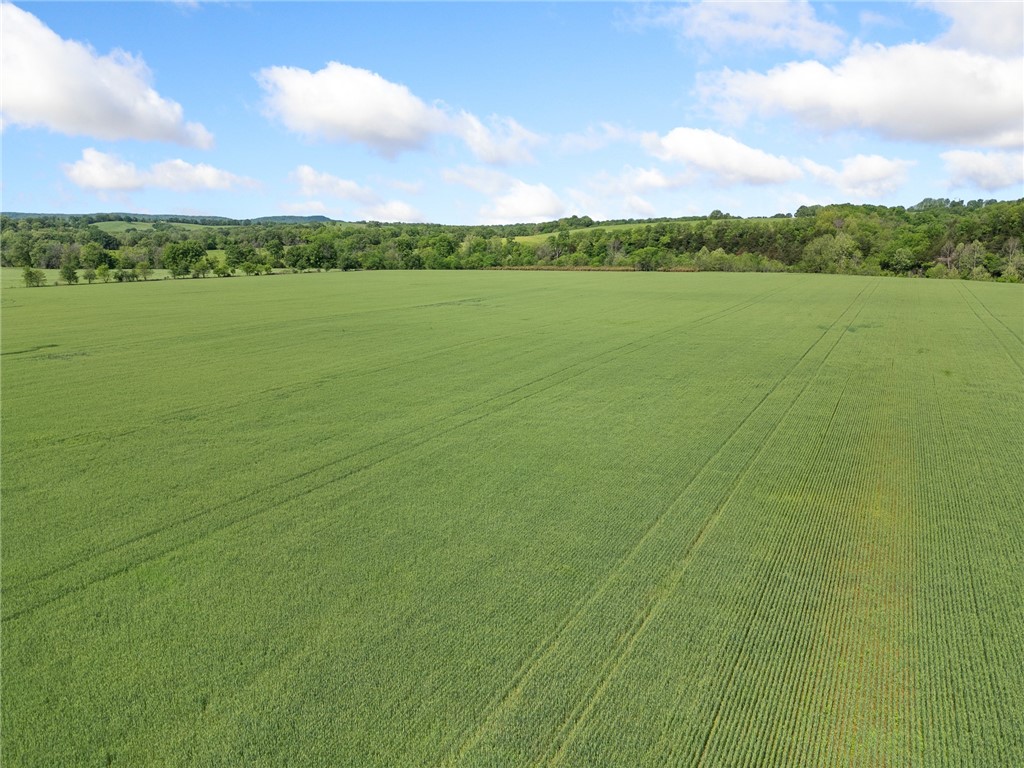 Long Creek Estates Ii - Land