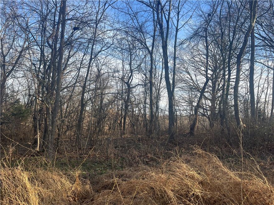 Great location in Rockingham Subdivision. Ride or walk a 1/4 mile and hop onto the trails on Hampton. Close to the Tweety Bird Trailhead, Lake Windsor and the Lake Bella Vista trail. Bentonville schools. Level lot and great for building your new home.