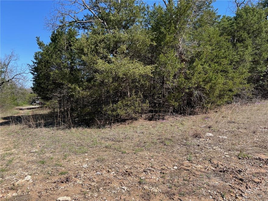 Great building lot in lakeside community. This 65 x 120 lot has some partial clearing with just a bit more it will be ready to build that lake cabin you have been dreaming of. Only 5 minute drive to Sugarloaf Harbor marina and 3 minutes to a championship 18 hole golf course. Minimum build restriction of 1000 sf. Buyer to verify water and sewer availability with city.