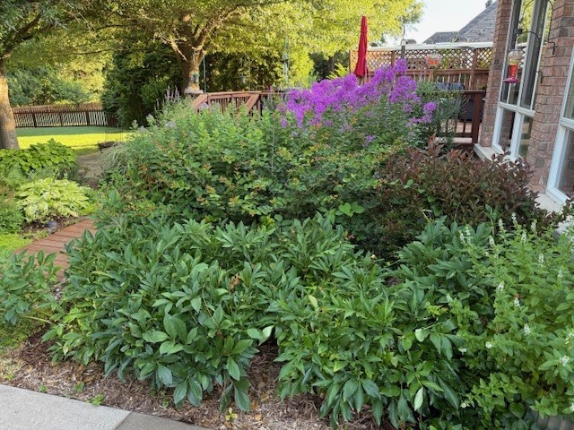 Silverthorne Sub - Residential