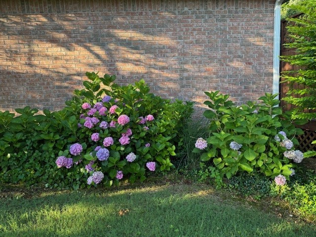 Silverthorne Sub - Residential