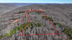 Perfect for a family hunting camp. Property border shared with National Forest so access to amazing wildlife and hunting opportunities. While looking at the property I saw signs of wild hogs, deer and turkey. Bear are also in the area. Current owner is leaving small out building and camper on the property. Camper is sold as is and condition is unknown. There is a small pond on the property that seems to attract abundant wildlife. Property has multiple home sites available. Water and electric are available. County Road frontage.Build a hunting cabin or a home, this property is perfect if your looking for a rural Newton County getaway. 15 minutes to Boxley Valley. 5 minutes to hiking trails. 20 minutes to PoncaSurvey will be required. Property can be divided into 2 tracts