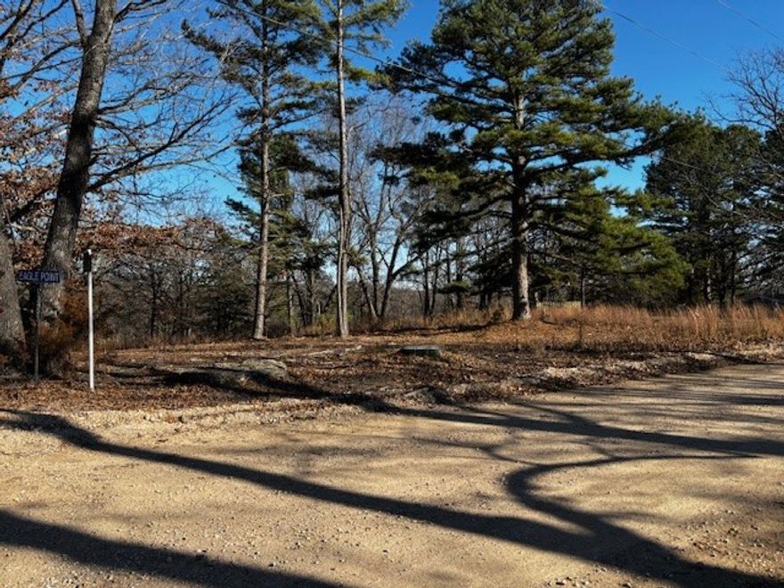 Come enjoy the beauty of Beaver Lake. Here is your opportunity to build your dream home on Beaver Lake.  This beautiful lot is 1.69 Acres (+/-) with plenty of room to build your custom home.  The lot does come with a slip in a community, four slip dock. The lot has been surveyed and perc test has been completed.  The community dock is located just a short distance from the lot. You follow Eagle Point Rd around to the back side of the lot (just to the East).  Look for the parking area and trail to the dock. The slip will be the one with no boat or boat lift.  The community dock has a swim platform as well. There is a metal storage container on the lot that does not convey with the sale. Buyer to verify septic and well requirements.