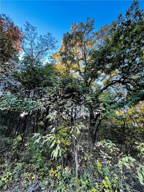 UNIT 6 HOLIDAY ISLAND - Land