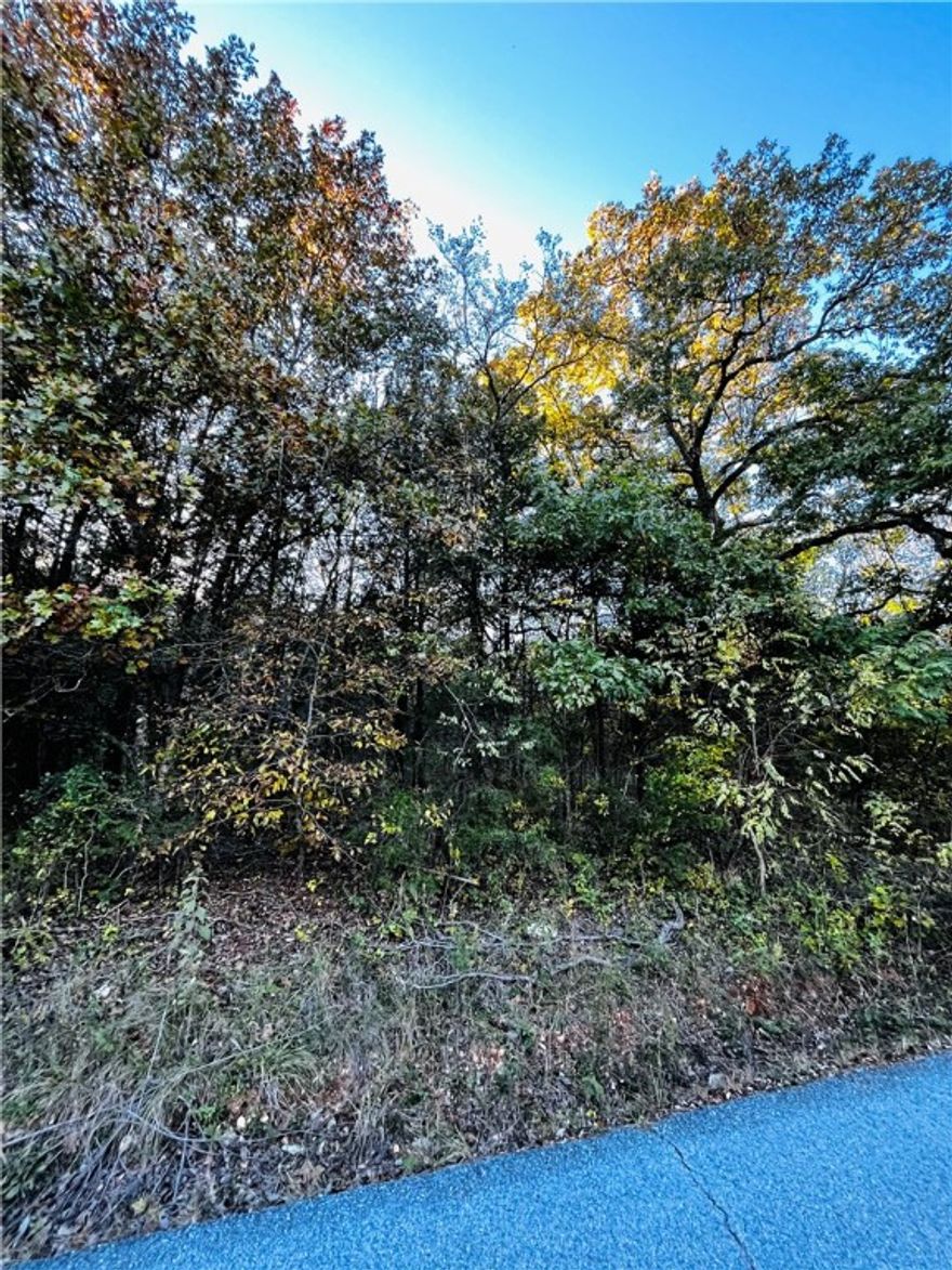 Get ready to build your dream house in Holiday Island! Just minutes from the Country Club, Marina, Rec Center with Pavillion.  Two beautiful Golf courses along the lake.  Also, not far from Historic Eureka Springs.