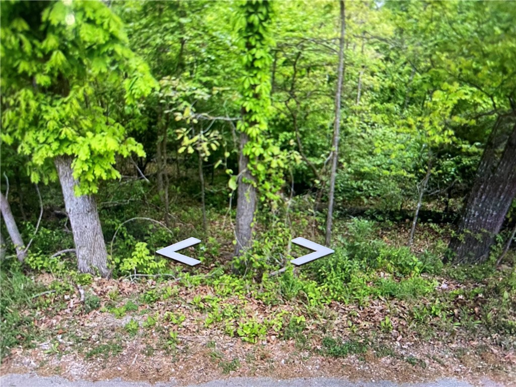 Great Bella Vista lot near Lake Windsor.