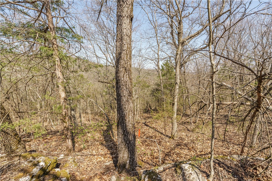 18-19-25 - Residential