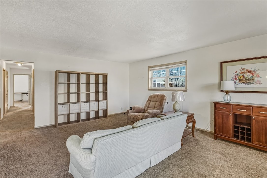 Living room featuring light carpet and a textured