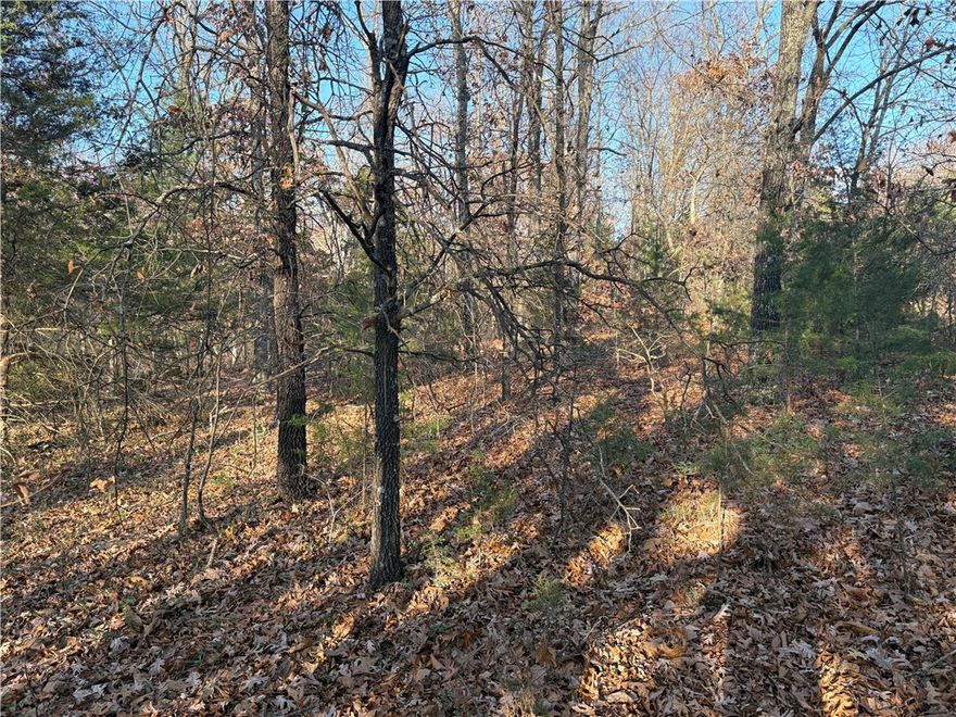 Build on this fairly level, .28 acre lot Cul-de-sac road is currently gravel. Located within the highly rated Bentonville school district, BV water available. Enjoy the wooded surroundings and easy access to biking & hiking trails including Back 40 close by. Close to several Golf Courses and lakes. No perc test or survey.