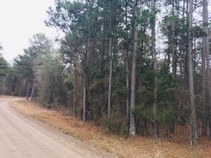 Owner financing offered on this HUGE acre-and-a-half, street-to-street lot in the beautiful, serene, Eagles Nest Subdivision! Has frontage on both CR 1788 and 1786. Your new home will be just a short drive to beautiful Piney Bay, Russellville, or Clarksville! See it today!