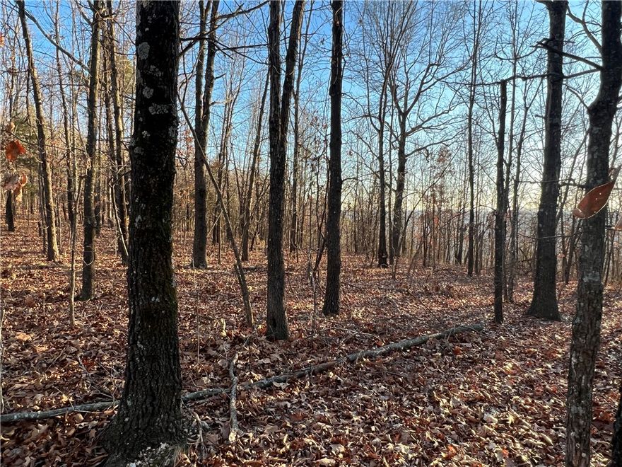 Spectacular Ozark Mountain View!! The property features a nice building site with lots of hardwood trees, no property restrictions, and has 9.05 Acres M/L. Call today to schedule a showing.