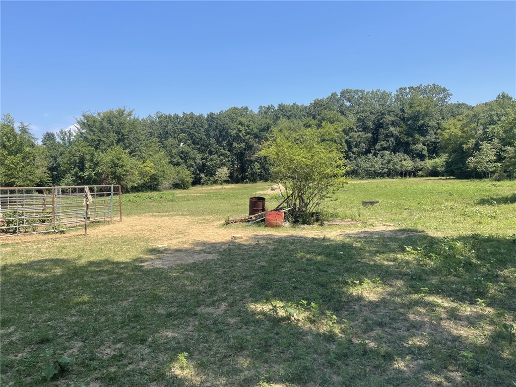 “Wow—this property is bursting with potential! It’s already naturally beautiful, and with just a bit of clearing, it could easily become your own private paradise. The perfect canvas for your dream home or weekend getaway!”