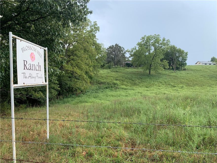 Excellent location with 1429 ft frontage on Mt Olive Rd. The house on property is rented and in good condition but House & outbuildings on property sell in" As is Condition "