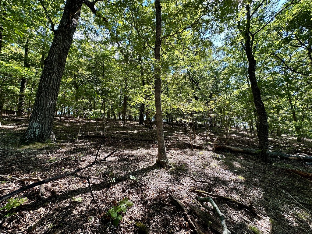 Unit 12 Holiday Island - Land