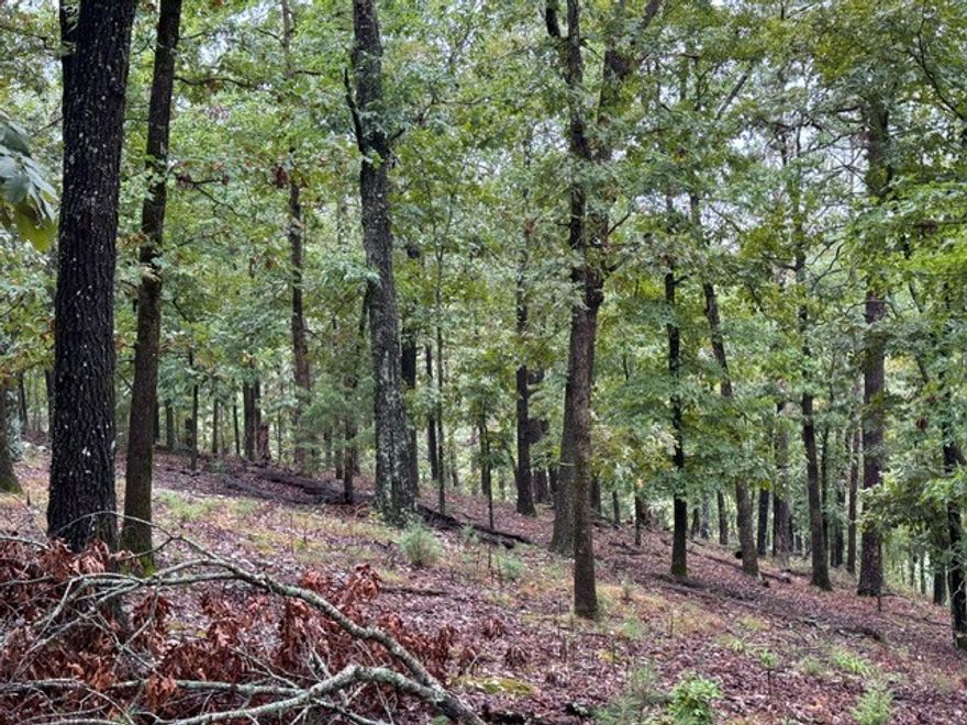 Rare opportunity to own 9.28 scenic acres within the city limits of Eureka Springs, Arkansas. This property offers direct access off Van Buren Avenue at the trolley stop with a 20-foot deeded easement. City water and sewer are available, making it an exceptional find for land of this size inside the city. Currently zoned for commercial use, the property overlooks Black Bass Lake and features multiple prime building sites with incredible views. A structure has been started but remains only roughed in with no utilities connected, giving you a blank canvas to create your vision. Images available upon request.