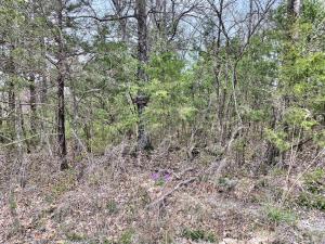 FINALLY!! Have you been looking for that lot by the lake where you can park your RV? Here it is! This 60 x 120 lot is zoned R-2 which means you can build (700 SF minimum build), put in a mobile or pour that pad to park your RV! There are restrictions for RV usage. These don't come up very often.