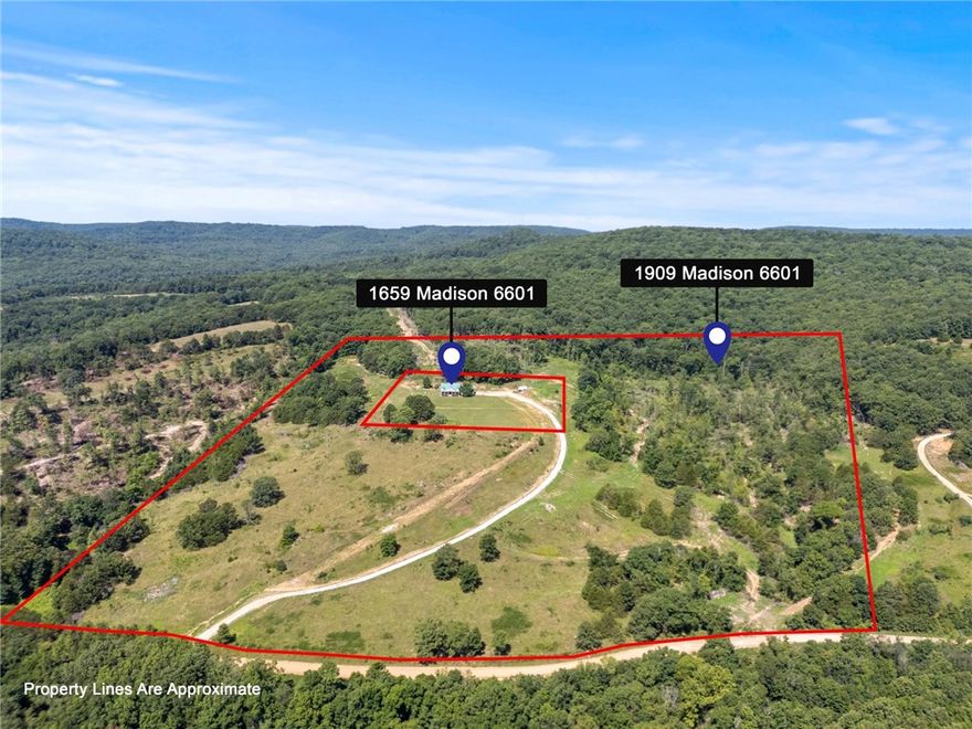 Attention all builders and dreamers! Get this +/-5 acre lot and build your dream home before it’s gone! There’s plenty of space to add a shop, start a hobby farm, and enjoy a slice of Northwest Arkansas beauty. Surrounded by rolling hills, open spaces, and unmatched scenery, the possibilities are truly limitless. Enjoy peace, privacy, and the freedom to create your ideal lifestyle—all in a stunning natural setting. Survey to be completed and parcel number adjusted.
