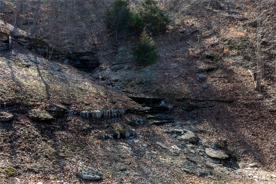 Bluff Shores - Residential