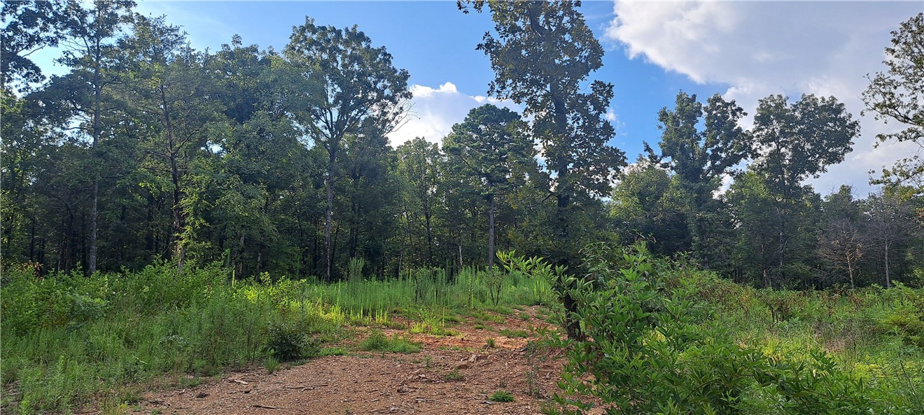 Elliotts Wishing Well - Land