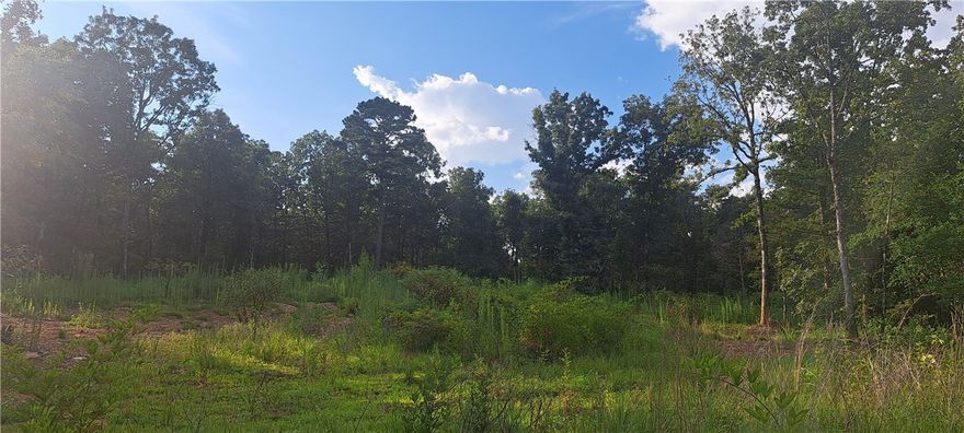 Secluded 2.5-acre wooded tract in Cecil, AR with no restrictions. Ideal for a home site, cabin, or recreational use. Private setting with easy access. Owner financing available—flexible terms!