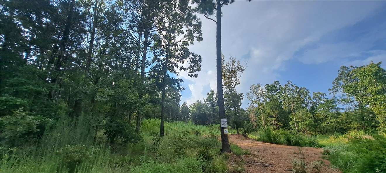 Elliotts Wishing Well - Land