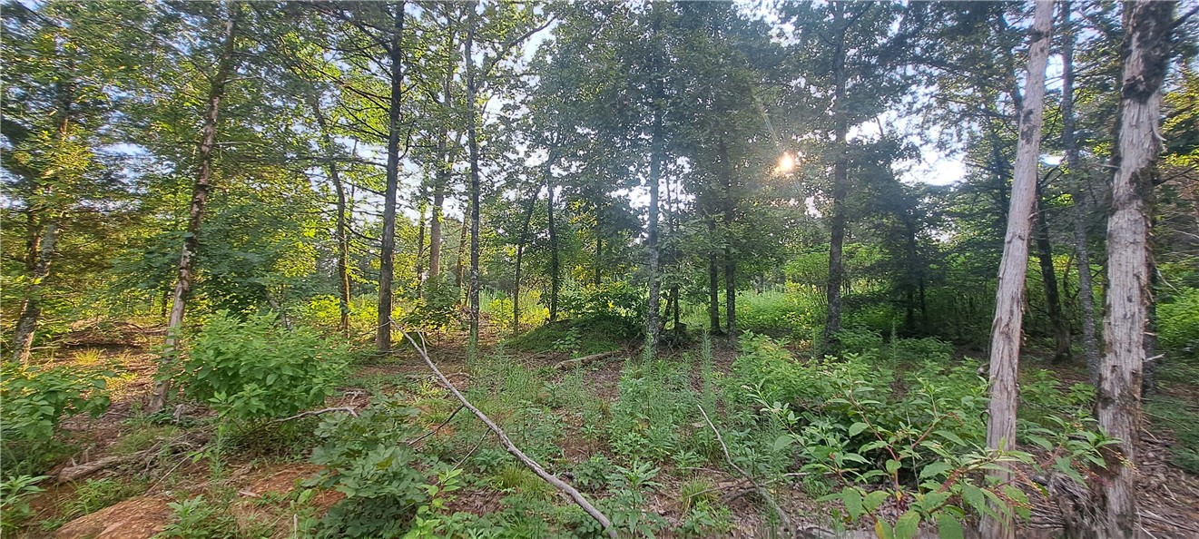 Elliotts Wishing Well - Land