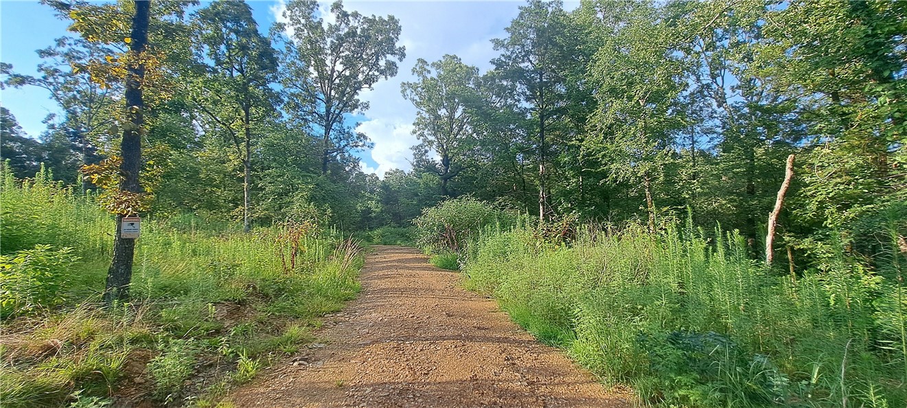 Elliotts Wishing Well - Land