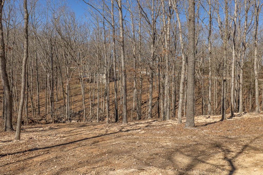 Withrow Estates - Residential