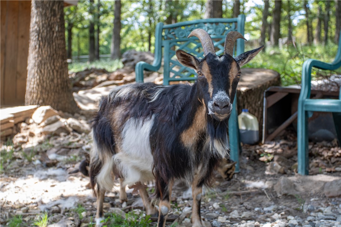 R L Hayes Sub - Land