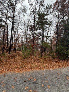 Nelson Sub Bvv - Land