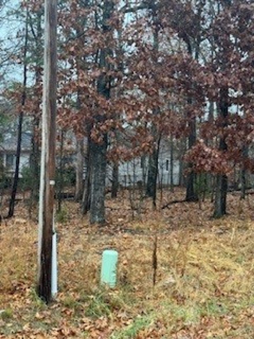 Prime Corner Lot for Your Dream Home!
This spacious, level lot offers the perfect canvas to build your ideal home. Located on a desirable corner, it provides extra space for privacy and enjoyment. Westbury Drive is a quiet, residential street, and with its dead-end design and cul-de-sac, you'll enjoy limited through traffic, ensuring peace and tranquility. Beautiful, well-maintained homes already line the street, creating a welcoming community atmosphere. Utilities, including electricity, are conveniently located right at the corner of Westbury Drive and Highworth Lane. Now is the perfect time to turn your vision into reality on this fantastic lot!