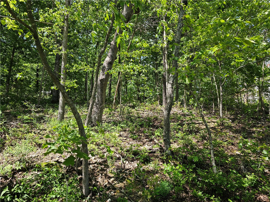 This excellent lot has minimal sloping in the back, most of the front section, and the mid section have a minor slope (as seen by the home built next door in images), making it a buildable, well-located lot. Close to a trailhead, the Tunnel Vision trail, the Uphill both ways trail, the Shock & Awe trail, the Return trail, Invasion, Rendezvous, Tango Whiskey, and Air-Raid trails, you have lots of trails nearby. Also, right next to the lake Windsor, Tanyard Creek, and Country Club golf, there is plenty to do in the area. A soil test is available for this lot, yielding an excellent result.