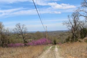 Undeveloped subdivision with moderate restrictions in the country and only minutes to the Bull Shoals Lake access. Large 12.09 acre lot with electric. Build your home with privacy and countryside views. No single wide mobiles permitted additional acreage available.