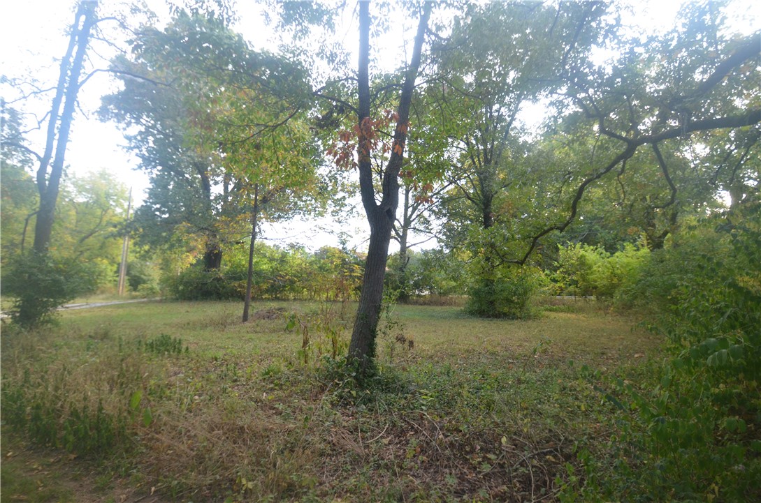 3105 Old Wire Road