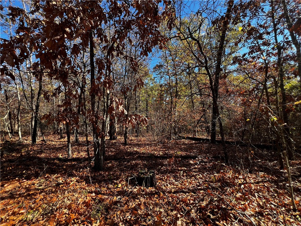 Beautiful wooded lot at end of cul-de-sac