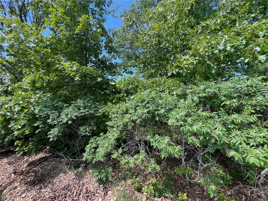 Skyline Estate - Land