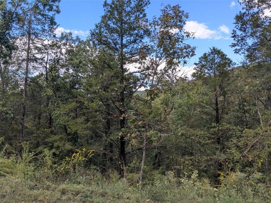 Ready to build your dream home? This lot on a quiet cul-de-sac is the perfect choice. Enjoy the amenities in Holiday Island like golf courses, a country club, swimming, tennis and a marina with a fishing dock or watch the local fauna from your front porch! Nearby Eureka Springs or Rogers offers great shopping and vibrant cultural hubs.