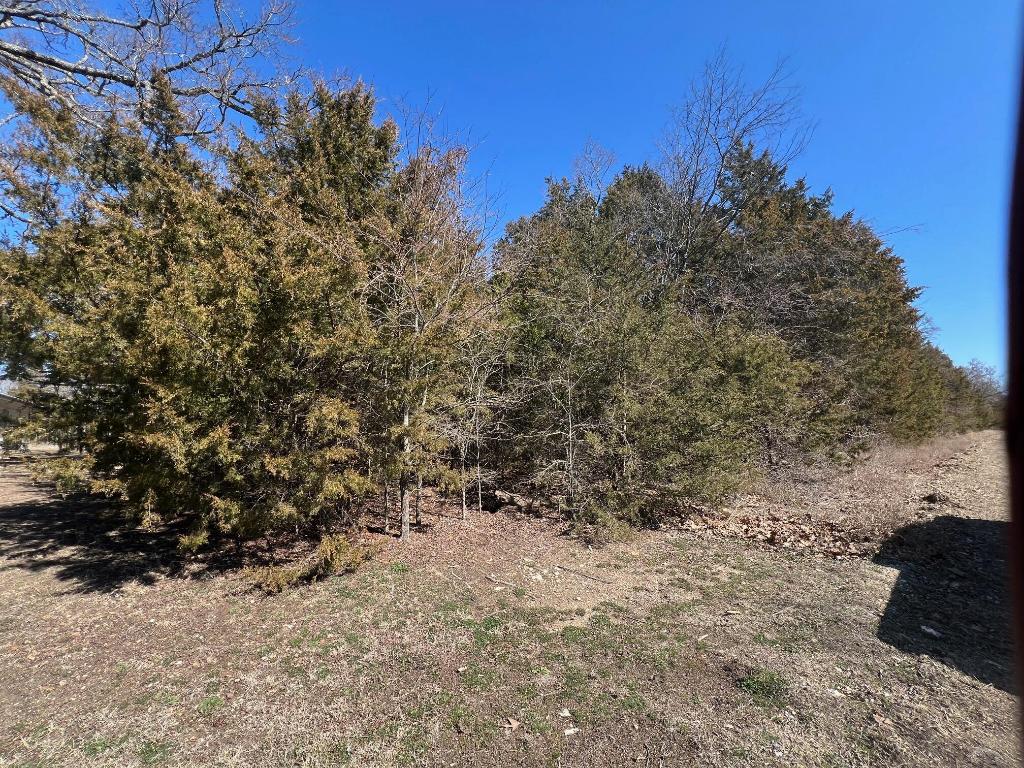 Great level building lot just up the hill from the lake. In a quiet part of Diamond City. 1000 SF minimum build restriction.