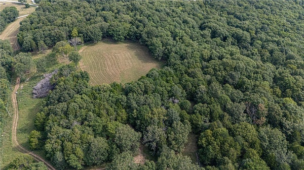 MALICO MOUNTAIN RD, WEST FORK, AR 72774 - Image 66009a6e2ebefb3e4e56a6c578202acb/1209819793