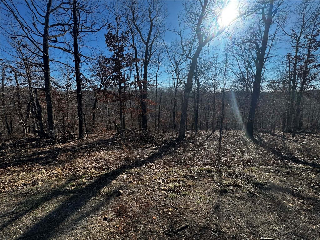 Montgomery Sub Bvv - Land