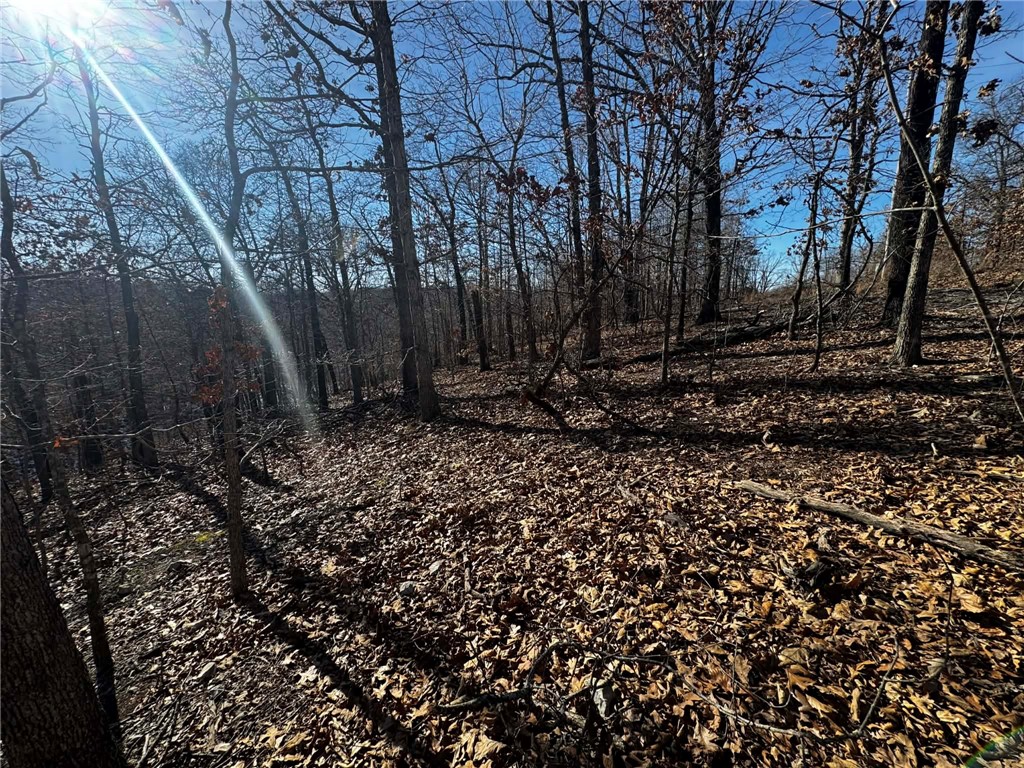 Montgomery Sub Bvv - Land