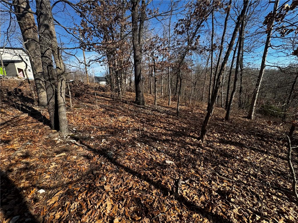 Montgomery Sub Bvv - Land