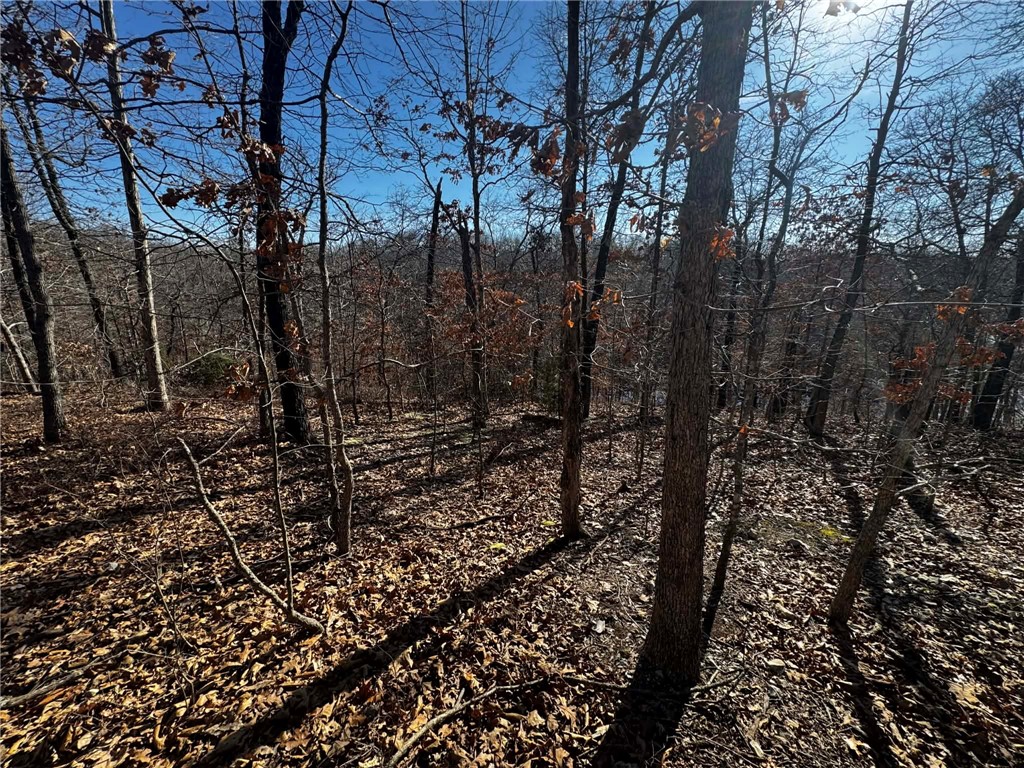 Montgomery Sub Bvv - Land