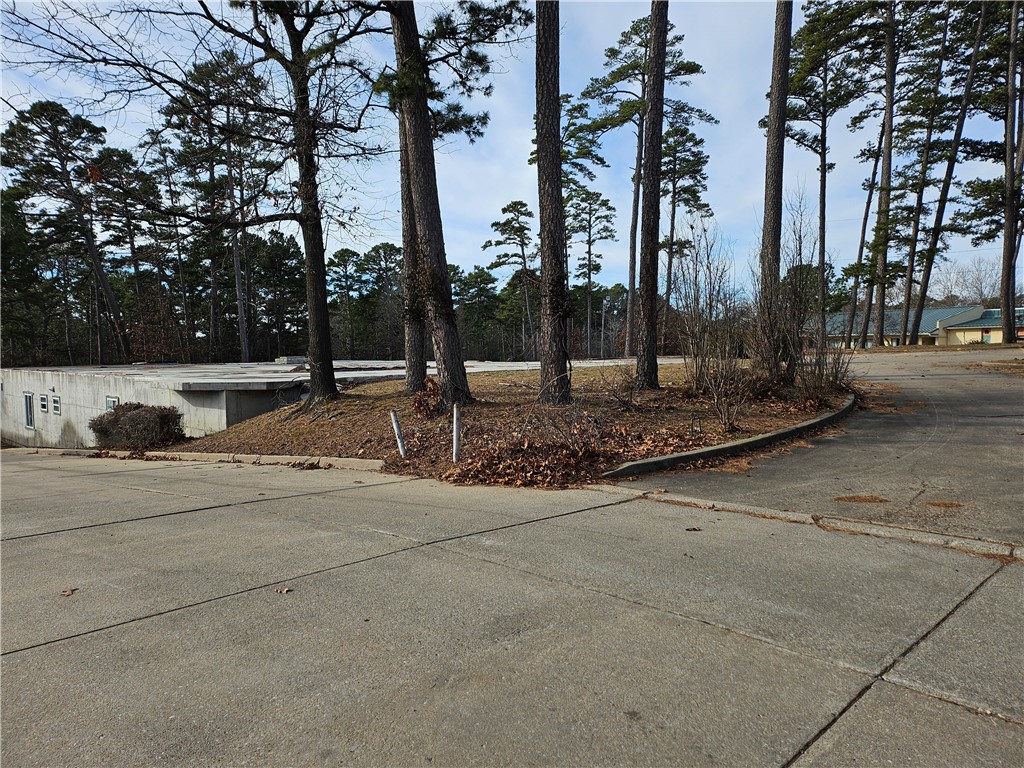 Bird Tracts - Commercial Sale