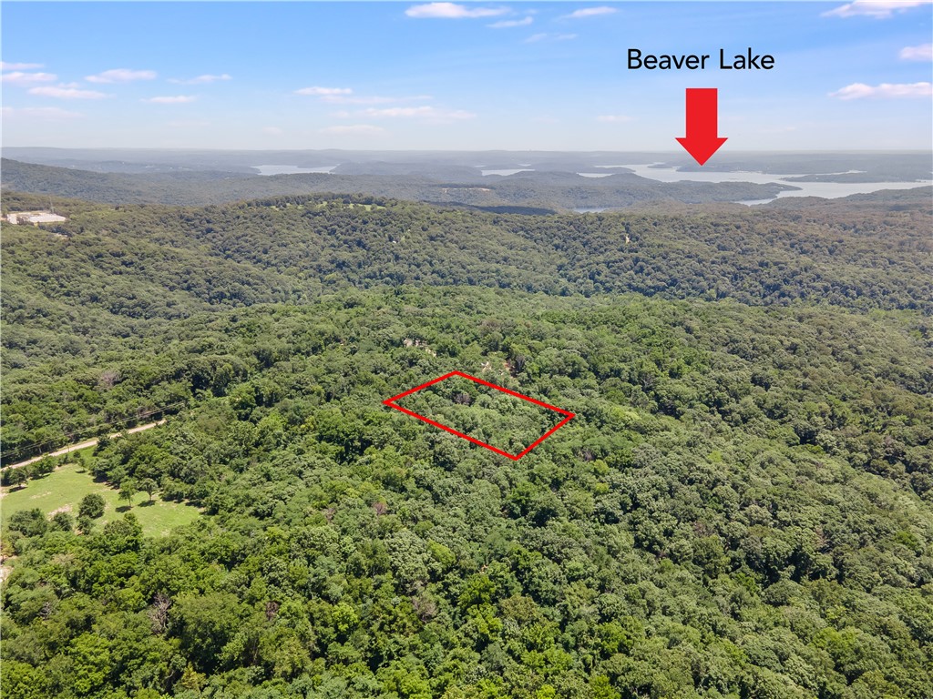 A Peaceful Escape Near Beaver Lake! Ready to build your getaway or future home near the lake? This wooded lot on Blackberry Drive offers the perfect balance of nature, recreation, and community.
Located in Lost Bridge Village, you'll enjoy access to the Recreation Center, swimming pool, and multi-use court, making it easy to stay active and entertained. Beaver Lake is less than 15 minutes away, with the Lost Bridge Marina and lakeside camping all within easy reach.
And when you're ready to explore, downtown Rogers is just a short 30-minute drive—close enough for convenience, far enough to truly unwind.
Don’t miss your chance to own a slice of the good life on Beaver Lake. Lake adventures, wooded serenity, and community amenities are all waiting on Blackberry Drive