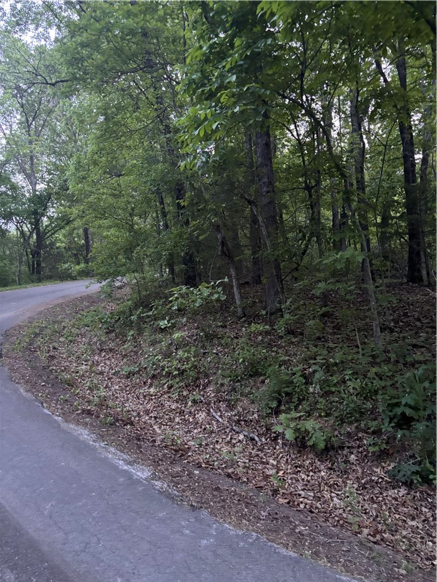 Beautiful wooded 0.46-acre property tucked into one of Bella Vista’s most recreation-rich areas, just minutes from Highlands and Scotsdale Golf Courses, Loch Lomond, Branchwood Recreation Center, the Little Sugar Trail System, and Tunnel Vision Trail. If you are looking for the perfect place to build your future home, a peaceful getaway, or an investment in a growing Northwest Arkansas community, this property offers the ideal blend of nature, privacy, and year-round outdoor adventure. Don't pass up the chance to check this one out!