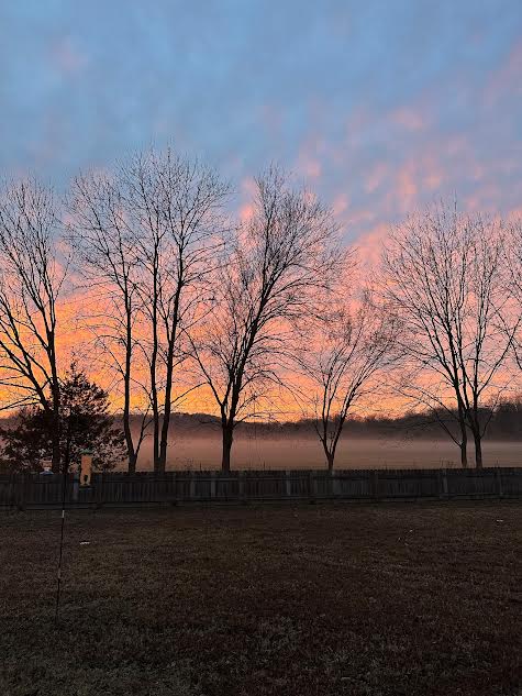 Hollybrooke Estates Ph II - Residential