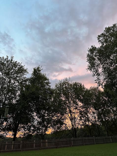 Hollybrooke Estates Ph II - Residential